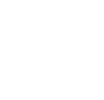 VIP Station logo